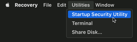 Selecting the startup disk