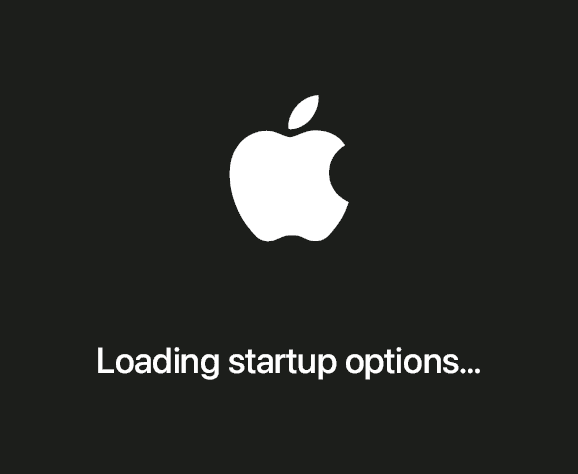 Startup Security Utility displays “Loading startup options…”